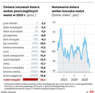 Zmiana notowań dolara wobec poszczególnych walut w 2025 r.