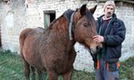 Jak strażacy Baśkę z bagna wyciągali