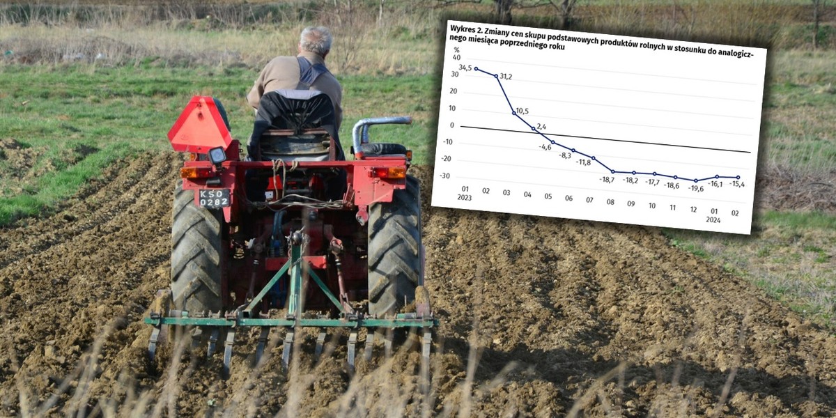 Ceny produktów rolnych w skupach spadają