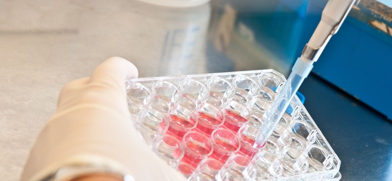 Bezpłatne badania na cukrzycę. Nie zapomnij!