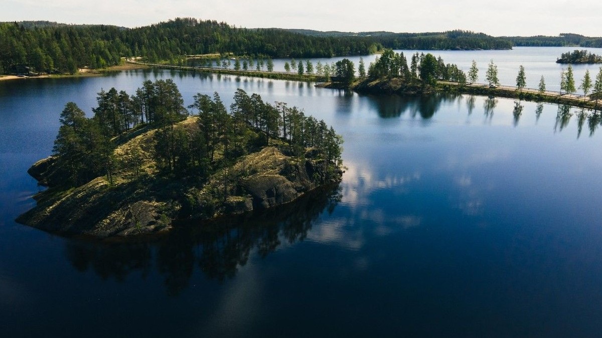 1.500 de brazi de Crăciun au fost aruncați într-un lac în 2021, în Finlanda După 3 ani, cercetătorii au fost uimiți de rezultat