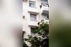 Baka htela da spasi mačku, pa VEZALA UŽETOM UNUKA i spuštala ga sa petog sprata. Prisutni doslovno snimili "mačku u džaku" i ŽIVOT KOJI VISI O KONCU