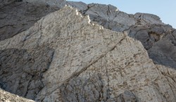 Sensacyjne odkrycie. Znaleziono wielką dolinę dinozaurów