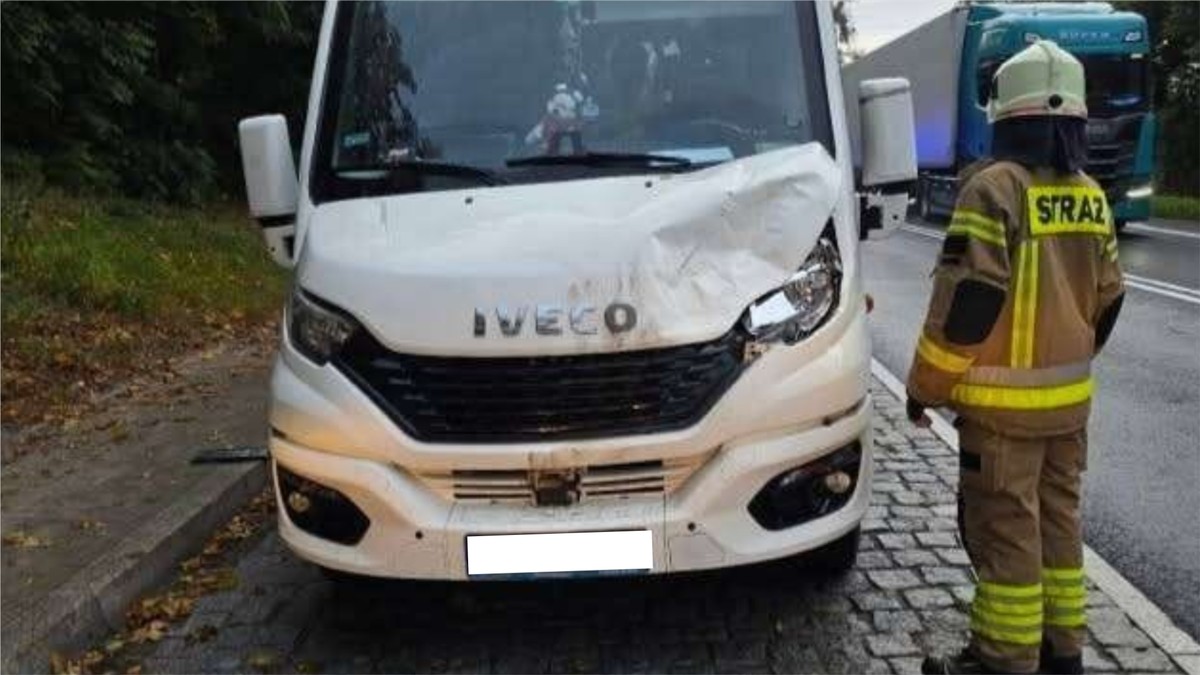 Autobus szkolny zderzył się z łosiem pod Świeciem: w środku było 15 dzieci