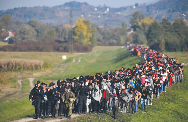 Kolumna migrantów eskortowana do obozu Brežice w Słowenii. 24 października 2015 r.