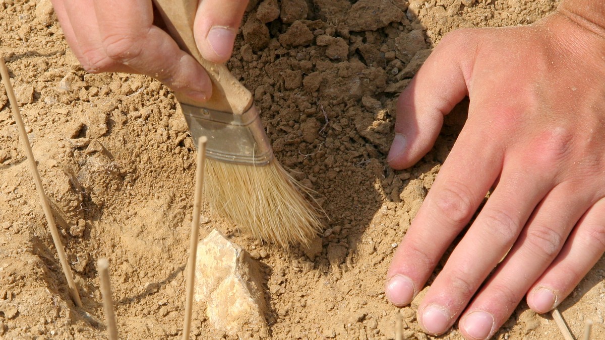 LUBOTYŃ OBOZOWISKO NEANDERTALCZYKÓW WYKOPALISKA