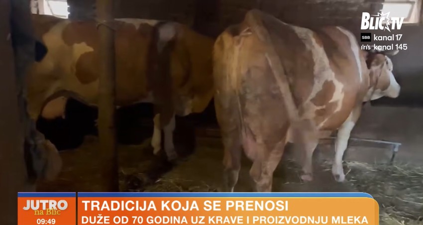 Gazdinstvo porodice Stojanović