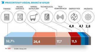 PROCENTOWY UDZIAŁ BRANŻ W WIG20