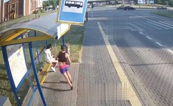 Kuriozalny atak na przystanku w Polsce. Piszą o tym światowe media