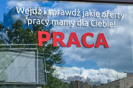 Rynek pracy czeka duża zmiana. Polski Ład to nowe rozdanie