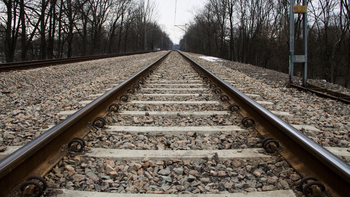 Ruch pociągów na linii kolejowej Kielce-Częstochowa odbywa się już bez przeszkód. W piątek przez około dwie godziny trasa w pobliżu stacji Górki Szczukowskie (Świętokrzyskie) była zablokowana w obu kierunkach, po śmiertelnym potrąceniu przez pociąg 80-letniej kobiety.
