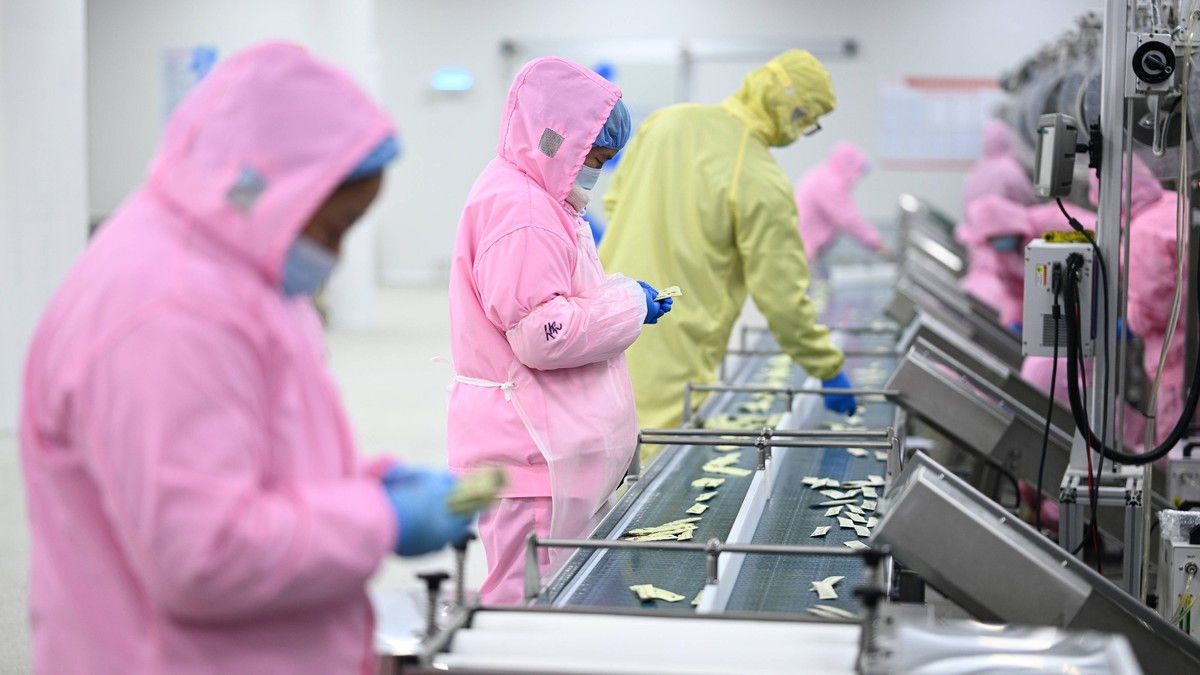 Ko se odluči da radi u ovoj industriji, postaće bogat: U pitanju je pravi rudnik zlata, sad je vreme da se krene