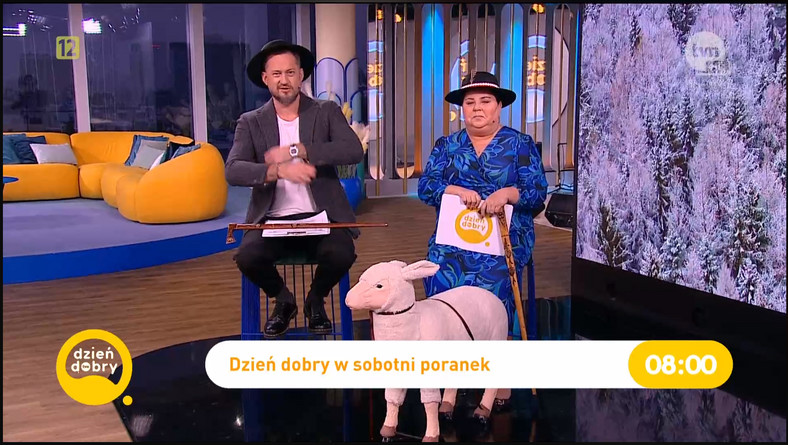 Screen z programu "Dzień dobry TVN"