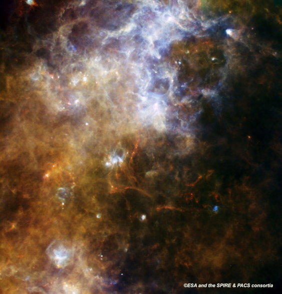 Na tym zdjęciu obłoku gazu znajdującym się tysiące lat świetlnych od Ziemi w gwiazdozbiorze Krzyża Południowego wykonanym w podczerwieni przez teleskop Herschel widać wyraźnie nowo powstałe gwiazdy jak sznurach pereł (np. w samym środku zdjęcia).