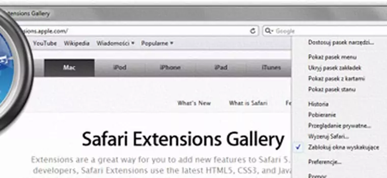 Safari 5.0.1: są wtyczki, jest OK