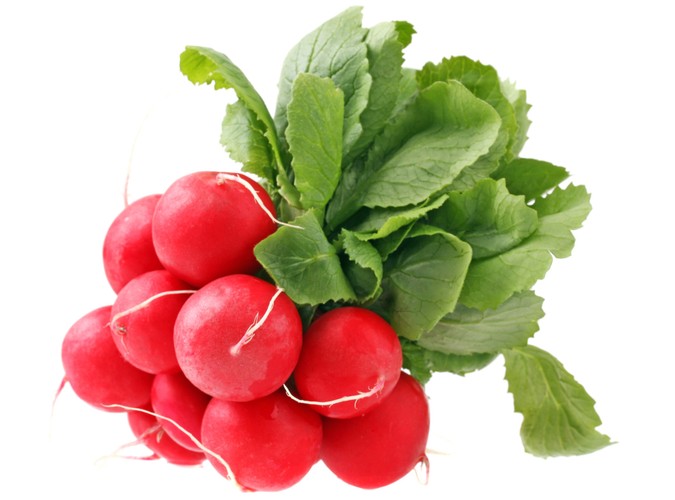 Rzodkiewkowy zawrót głowy