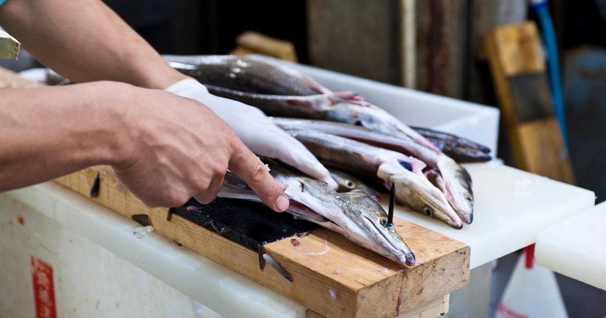 Upada znana firma spożywcza. Wszystko przez śledzia w galarecie