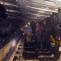 Polski górnik zarabia pięć razy za dużo jak na wydobycie. Drogi węgiel zalega już na hałdach