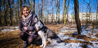 Katowiccy leśnicy wytną więcej drzew niż posadzą. To co przedstawili w Rudzie Śląskiej budzi trwogę