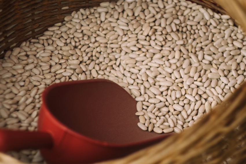 Pasulj mora da bude dobro termički obrađen