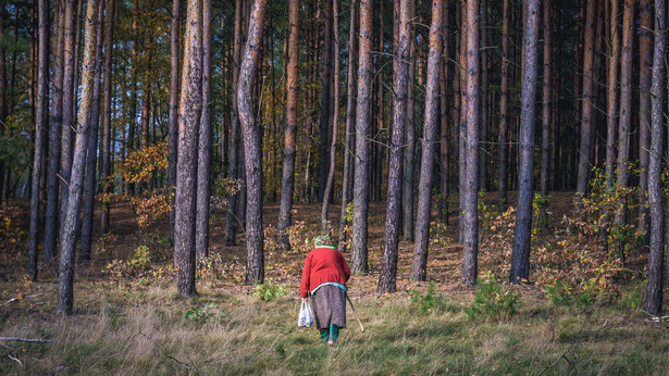 Starsza kobieta na grzybach w lesie