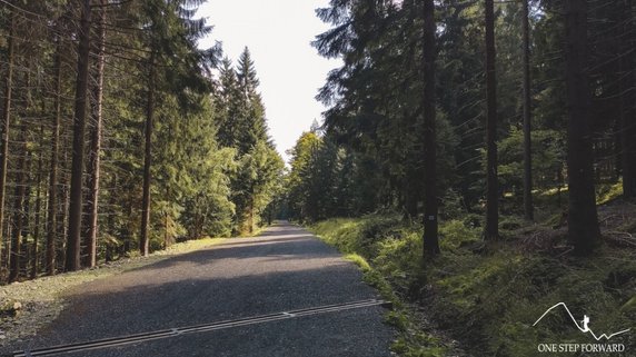 Początkowo trasa wiedzie szeroką, leśną ścieżką i wznosi się praktycznie niezauważalnie