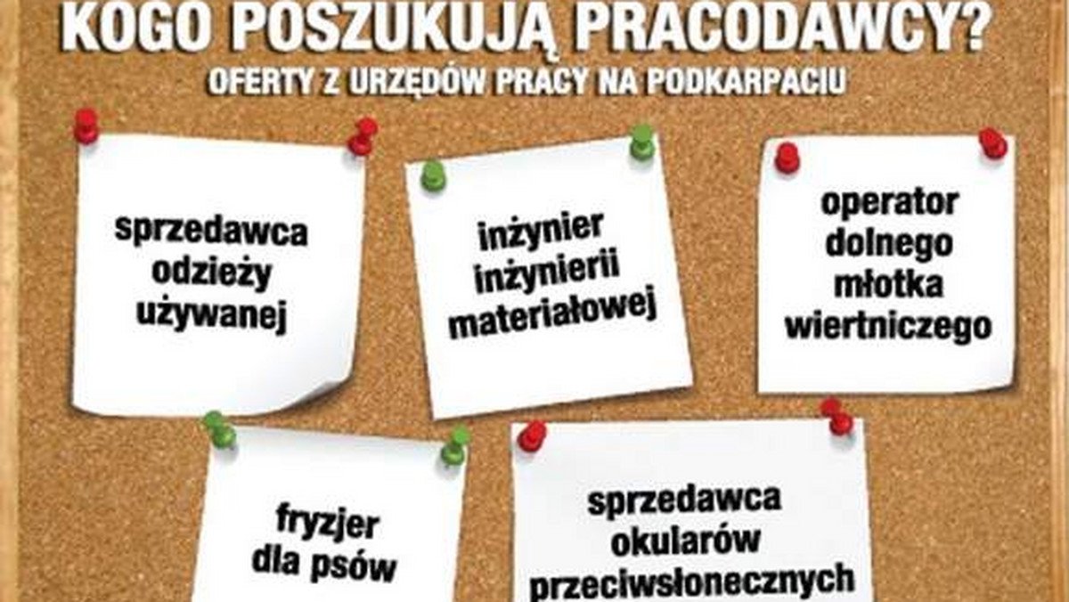 Część podkarpackich pracodawców wykorzystuje kryzysową sytuacją i oferuje minimalne stawki wynagrodzenia za pracę.