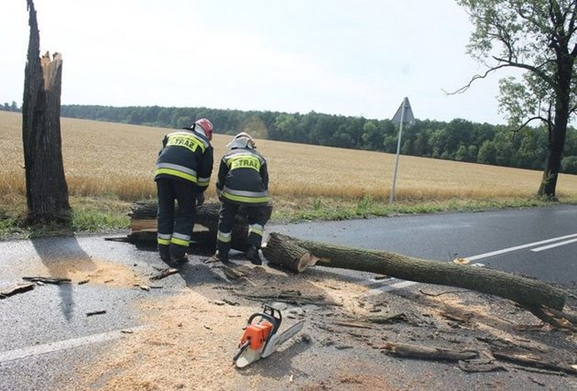 Wielkopolska spustoszona po niedzielnej nawałnicy