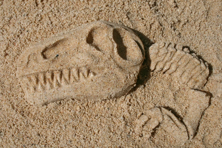 t-rex