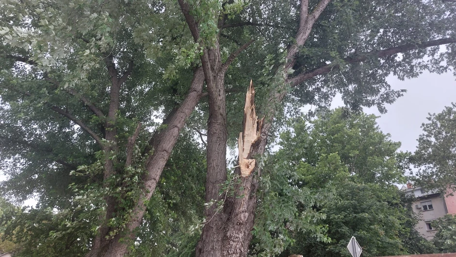 Nevreme pravi haos u Novom Sadu 