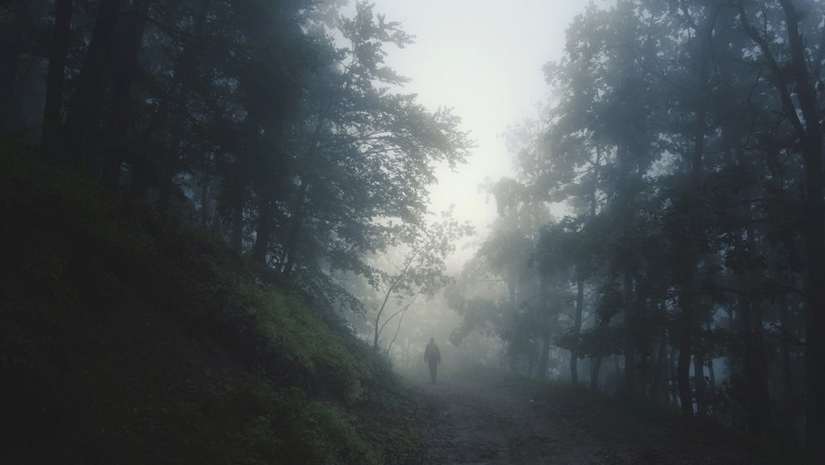 Gwiazda YouTube - Logan Paul - sfilmował ciało ofiary w "Lesie Samobójców". Nagranie wzbudziło falę krytyki, a o Aokigahara znowu stało się głośno na całym świecie.