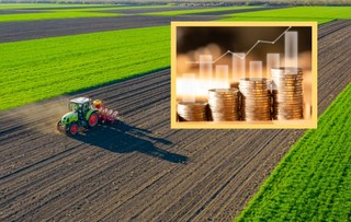 Emerytura rolnicza. Ile można otrzymać po 25 latach pracy na roli?