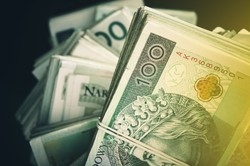 Kredyty, alimenty, pożyczki, mandaty. Nie lubimy oddawać naszych długów w terminie