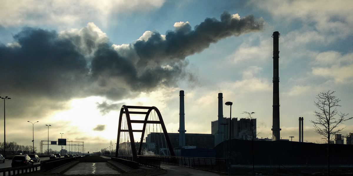 Zanieczyszczenia powietrza spowodowane paliwami kopalnymi kosztują świat 8 miliardów dolarów dziennie. Polskę - ponad 300 mln zł dziennie - wynika z raportu Greenpeace. 