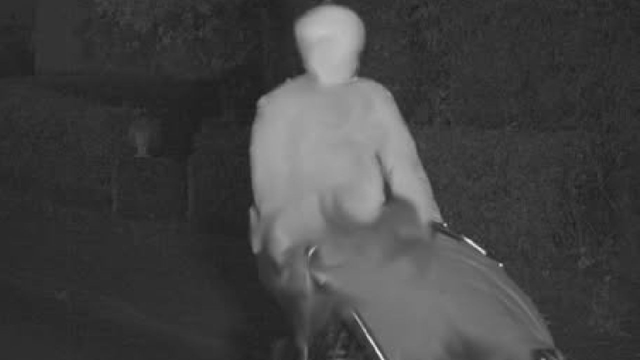 Biciclist care căra un copil în căruț, luat de radar, în Germania. Ce amendă riscă