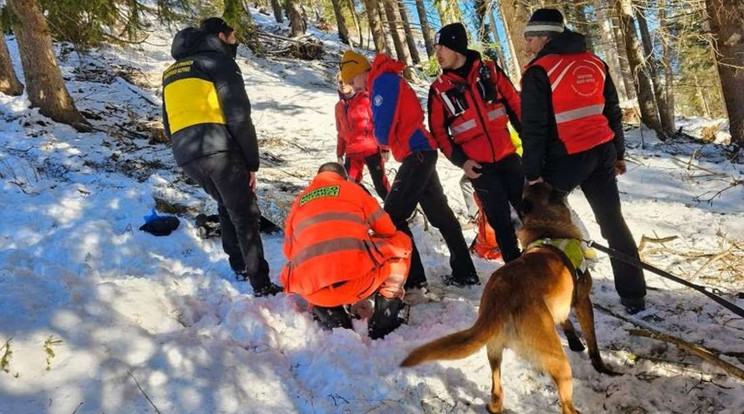 A kutyák holtan találták a fiatal lányt / Fotó: Dél-Tirol Állami Tűzoltószövetség