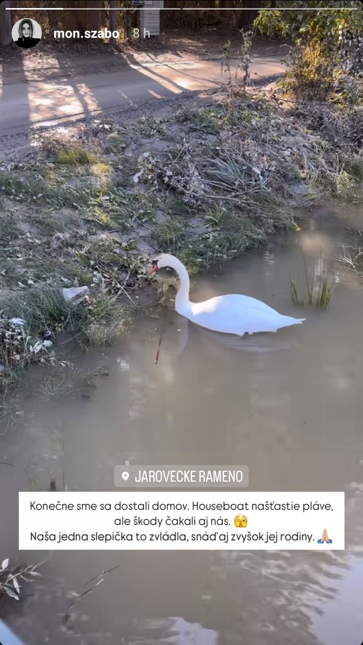 Moniku Szabó zistila po príchode domov smutnú správu.