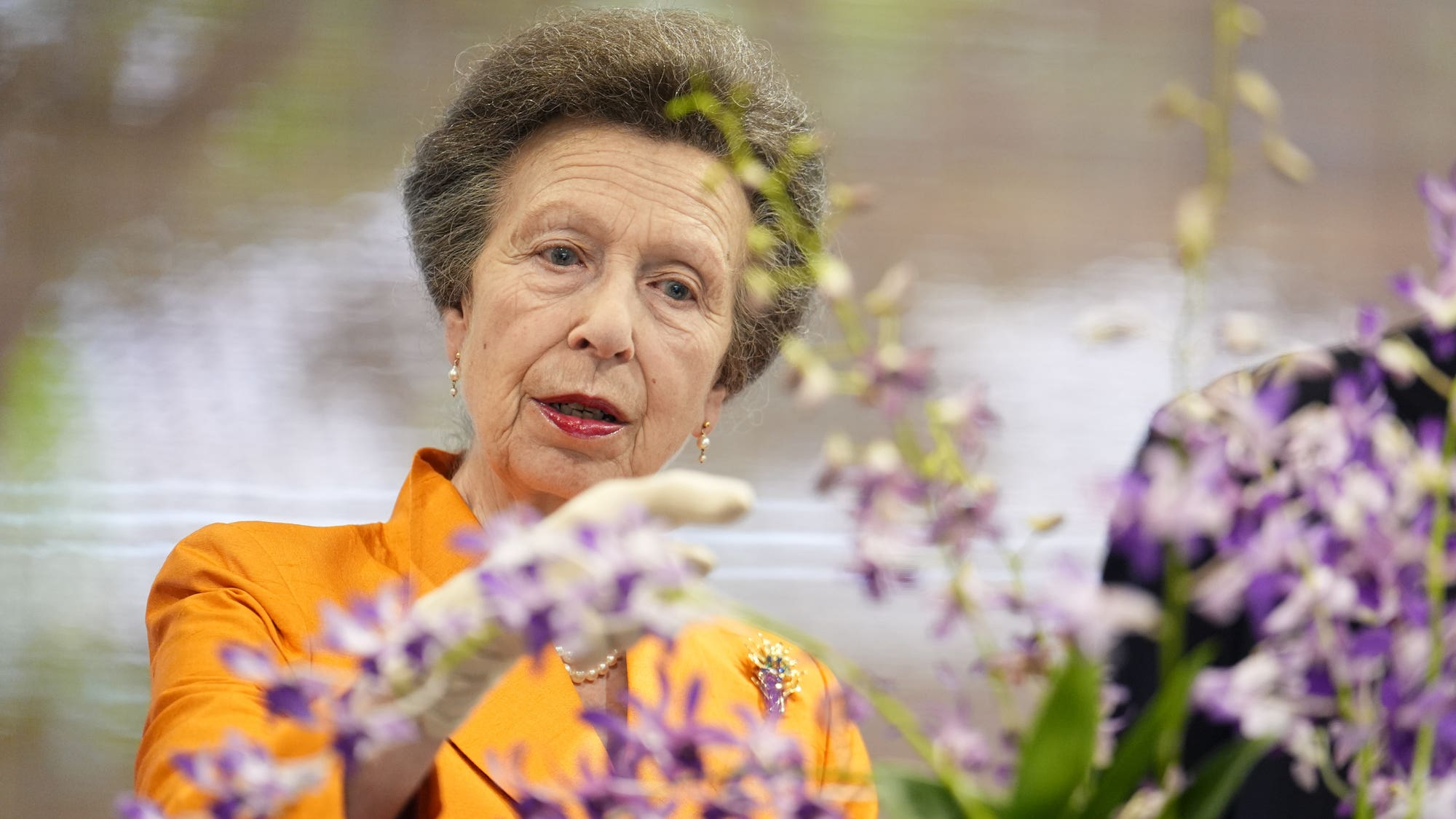 Singapore names purple orchid after Princess Anne in diplomatic honor