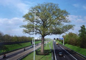 358971_9687845670571900002041057955920n