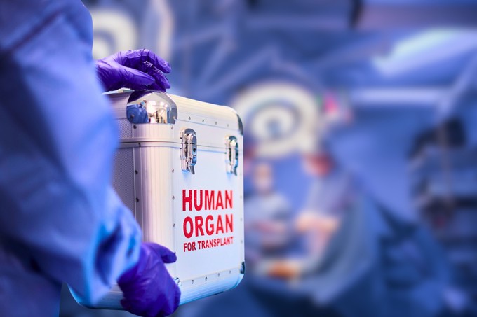 Valóban megkaphatjuk szervátültetés esetén a donor emlékeit? Meglepheti a válasz!
