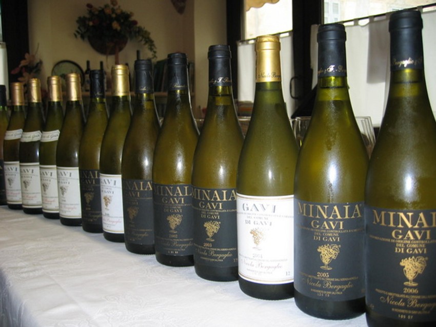 Vino Gavi di Gavi iz Pijemonta