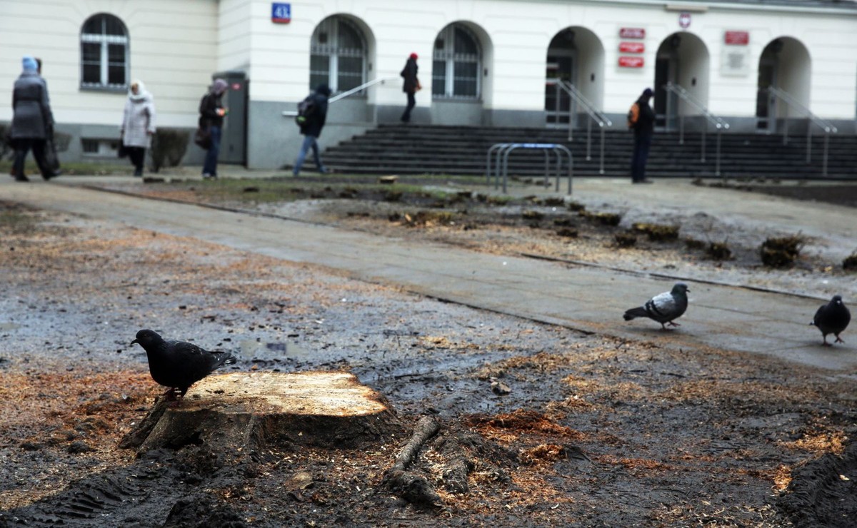 Skwer u zbiegu Nowogrodzkiej i Poznańskiej przed Urzędem Dzielnicy Śródmieście