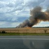 Požar na njivama pored autoputa nadomak Beške