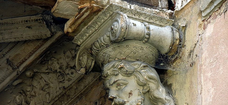 Kto usuwa gniazdo bocianie... - historia upadku pałacu w Stradomi Wierzchniej