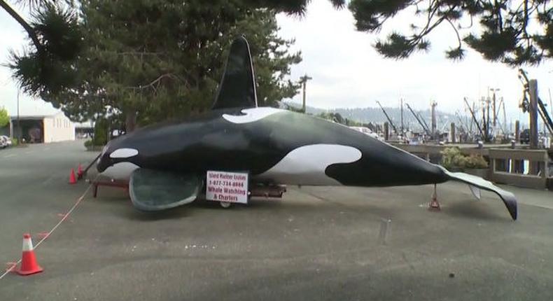 It was deployed to scare off Oregon sea lions