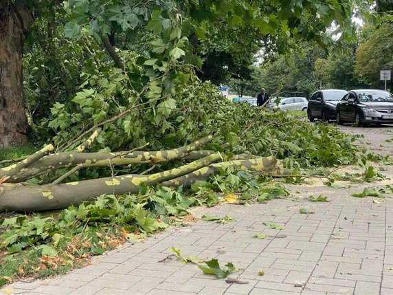 Skutki nawałnicy w Lublinie