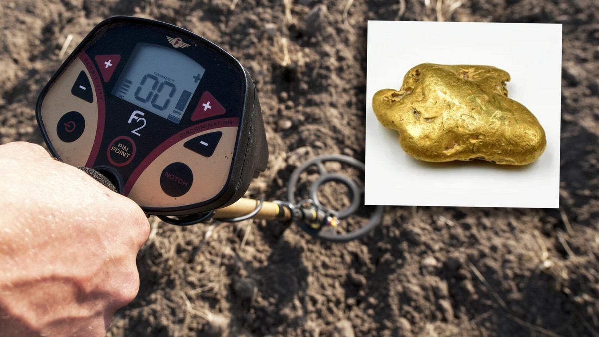 Największy samorodek złota znaleziony w Anglii. "Nie mogłem w to uwierzyć"