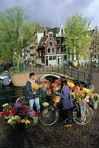 Galeria Holandia - rowerowy Amsterdam, obrazek 10