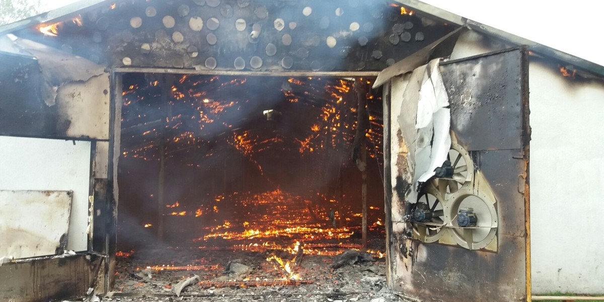 Pożar fermy drobiu w Pokoju 