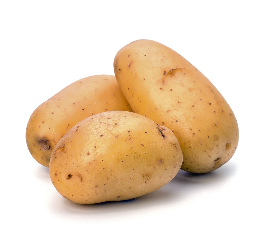 Odakle dolazi: Holandija, Nemačka, Belgija